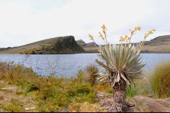 Petro teme que si el calentamiento global avanza se acabe el Páramo de Sumapaz