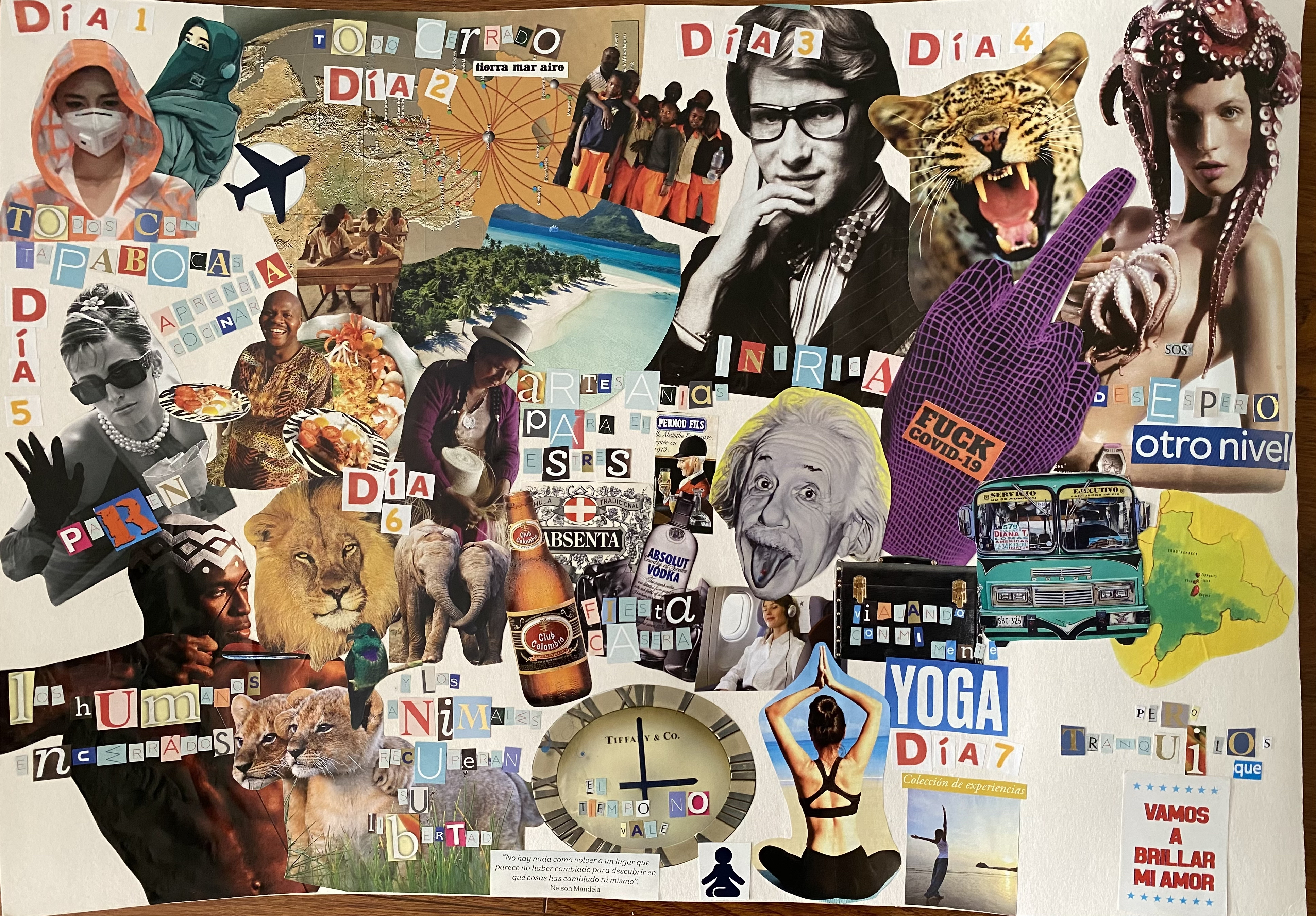 Colección de aprendizajes. Collage de Juliana Morales.