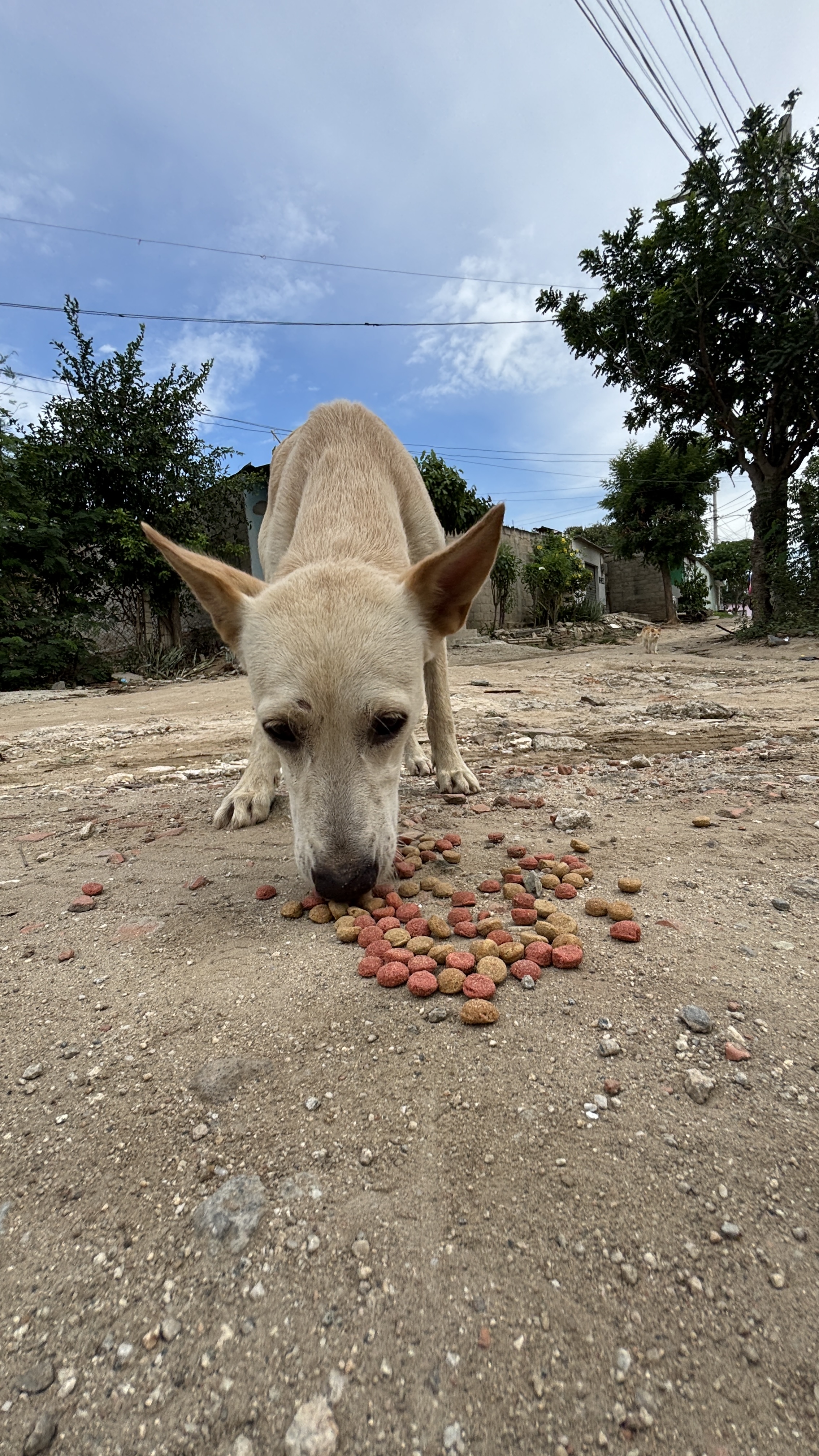 Por cada donación, un niño se acerca a la NASA y un animal recibe alimento