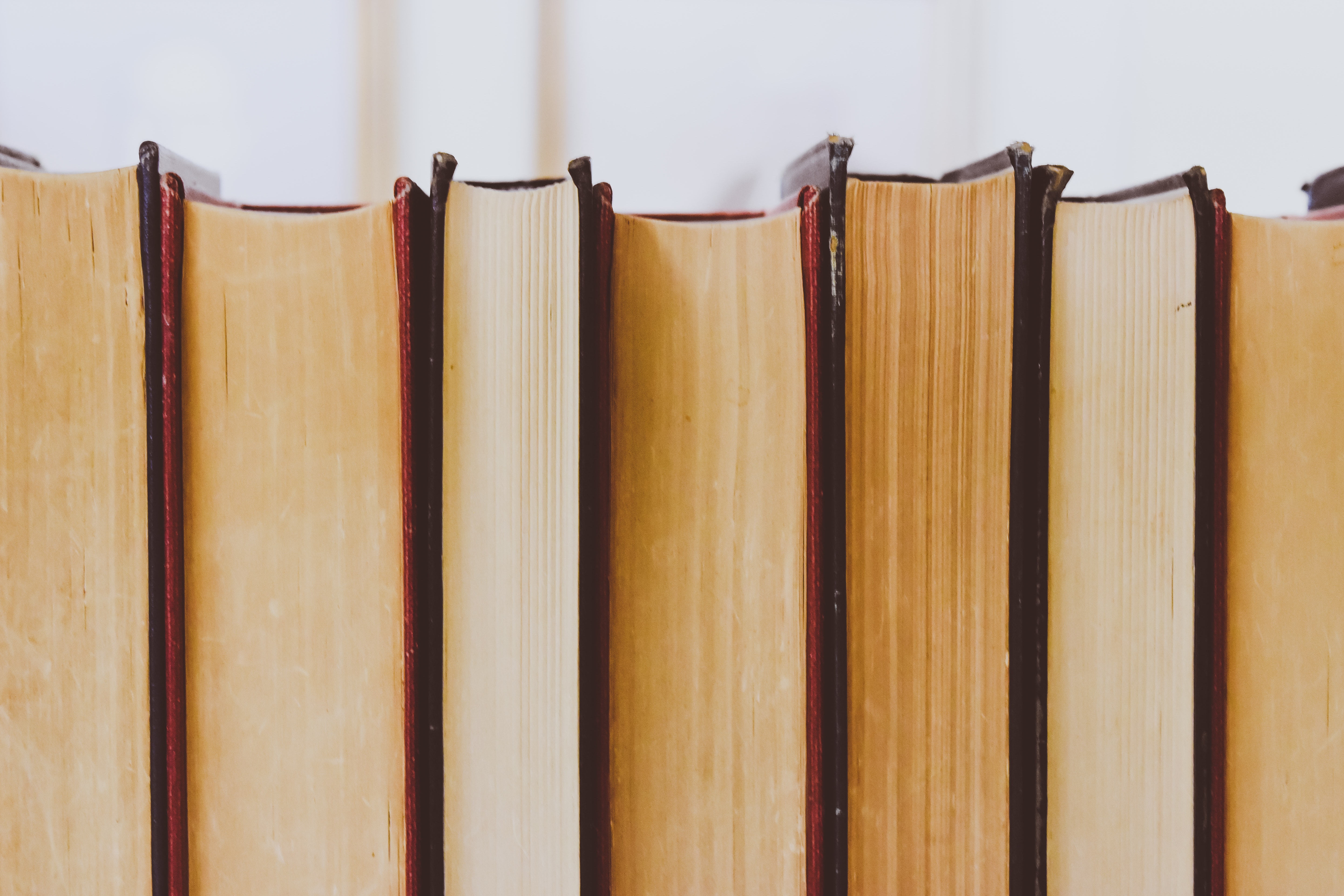 ¿Es un amante de la lectura? Estos son 10 libros que debería leer, según Forbes