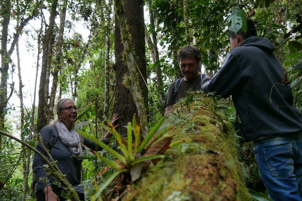 La biodiversidad de Meremberg la ha convertido en un lugar ideal para la investigación científica y académica.