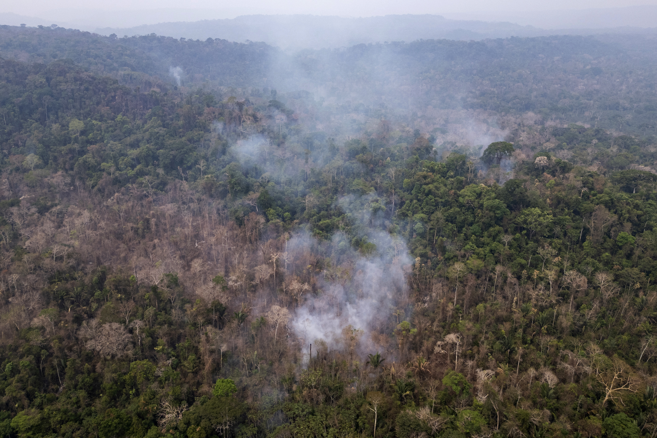 Deforestación está empujando a la Amazonia al colapso: científicos hacen un nuevo llamado