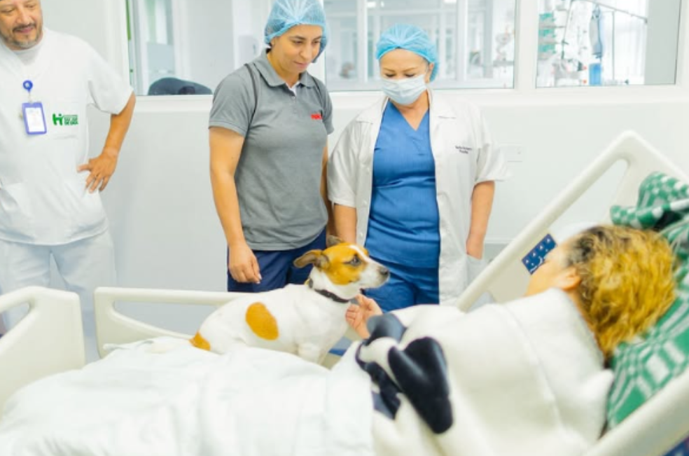 Moca, la primera perrita en brindar apoyo a pacientes en un hospital del Quindío