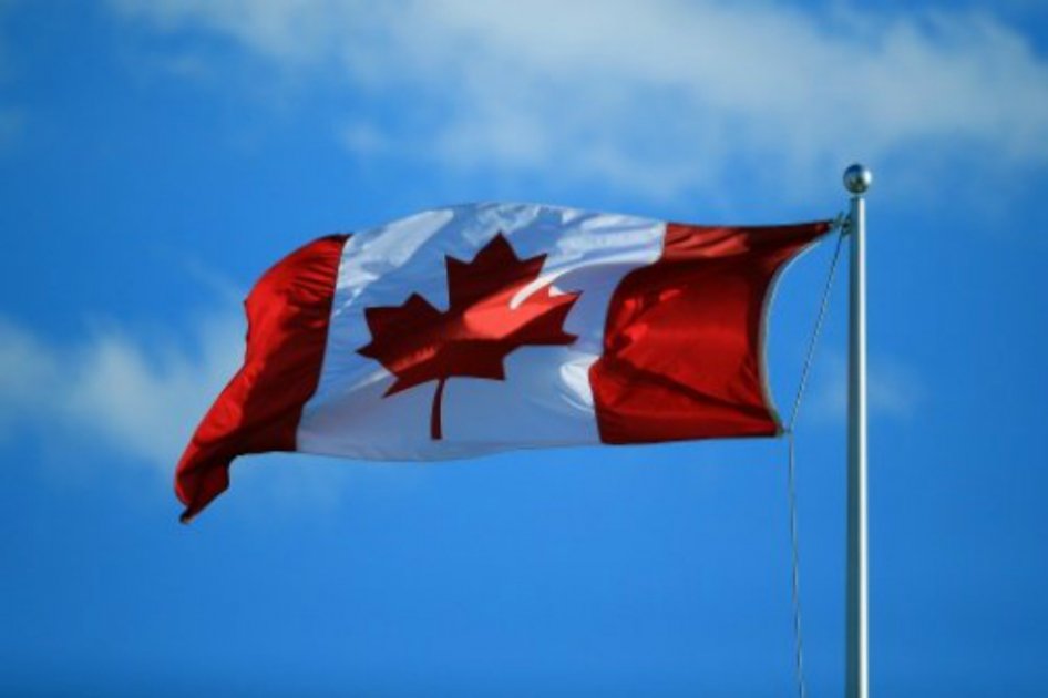 Por TLC con Canadá, 660 empresas colombianas exportaron por primera vez