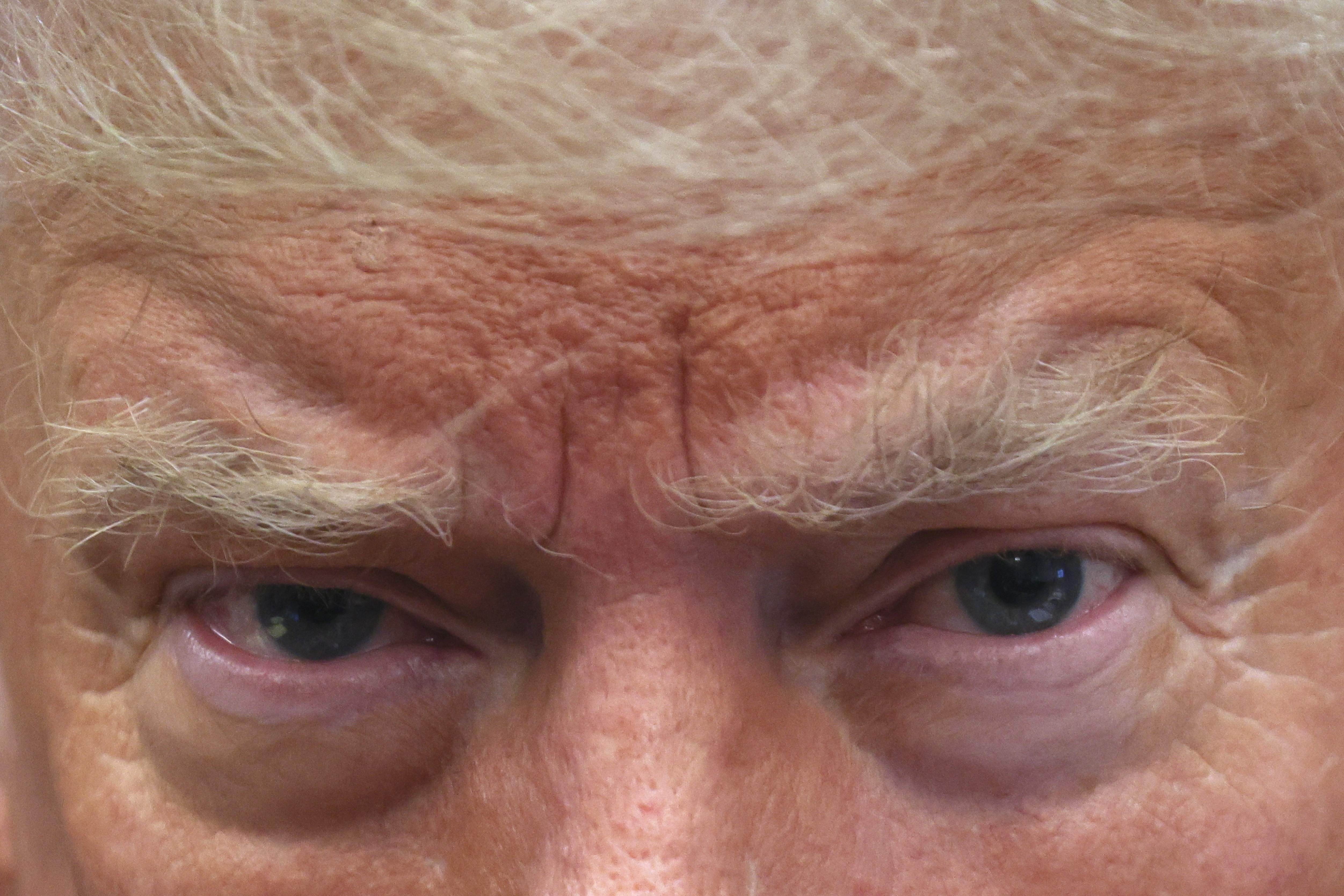 Trump, dispuesto a presidir la Cámara de Representantes de EE. UU.: ¿podría?