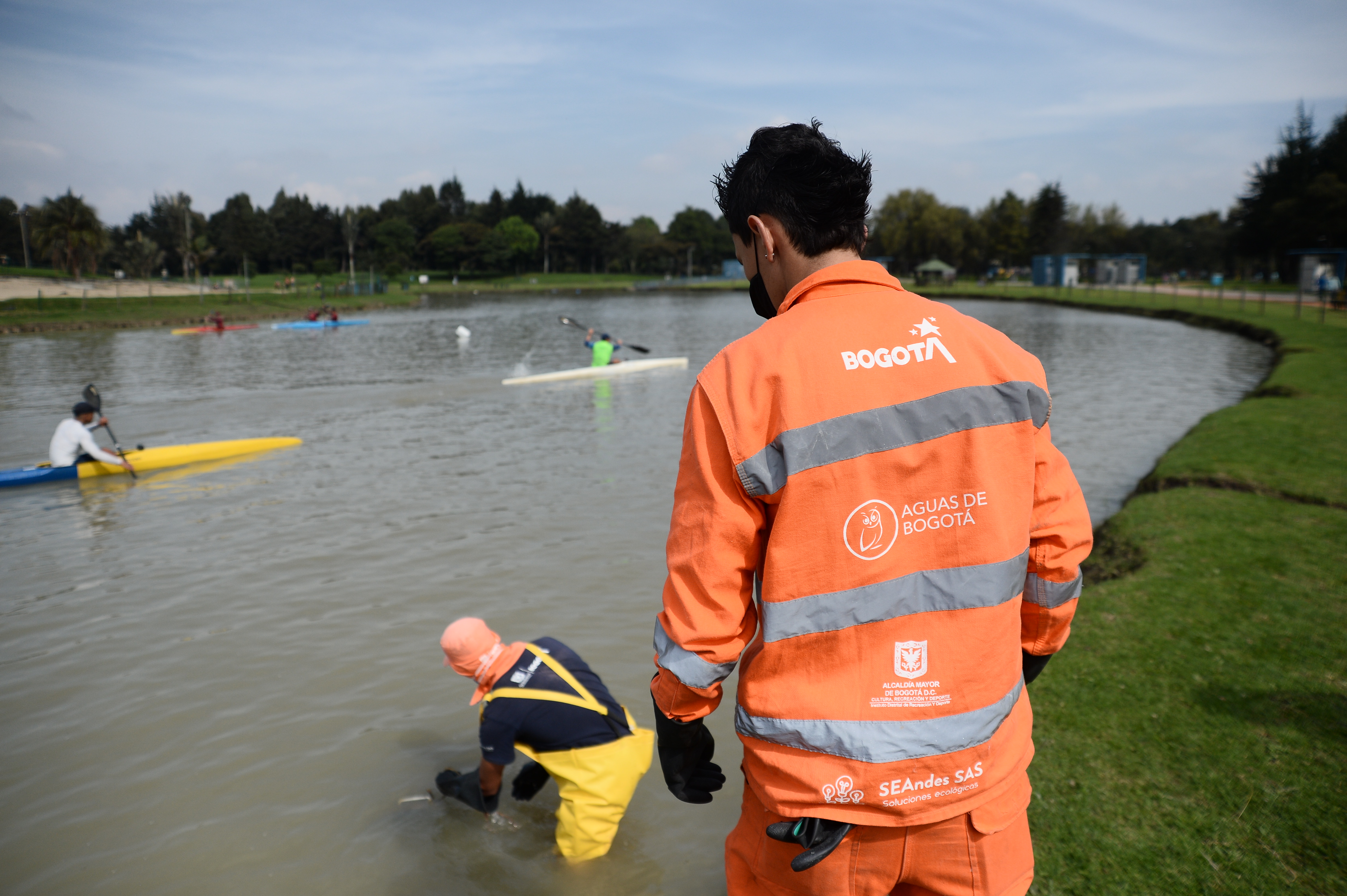 El personal del parque se concentra en puntos específicos del lago, donde hay indicios de mayor presencia del cangrejo, para poderlo atrapar.