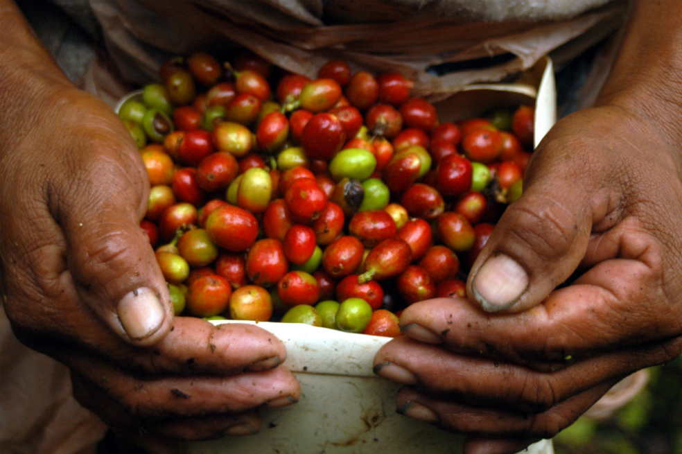 Exportaciones agropecuarias crecieron en mayo de 2017