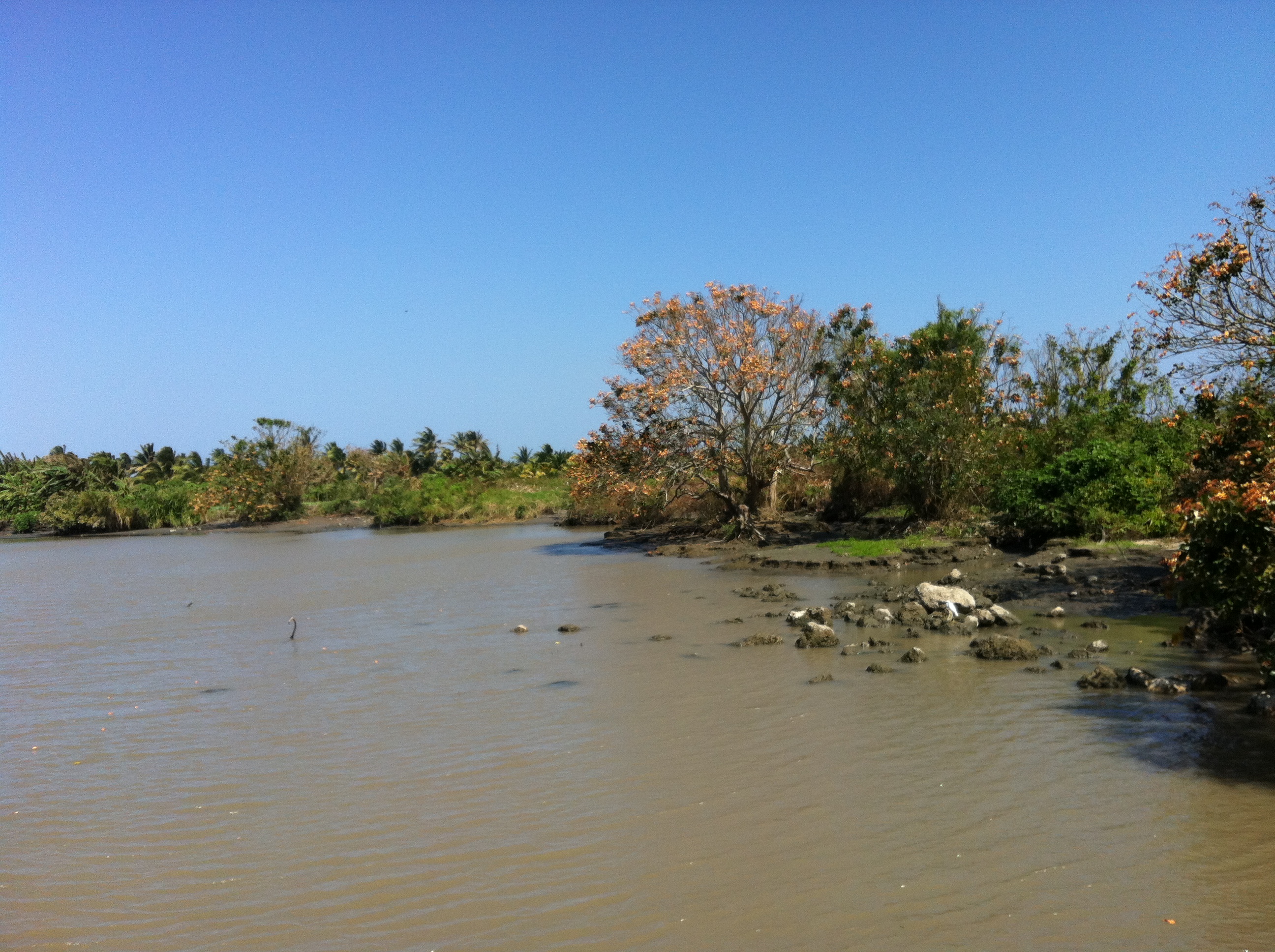 El río Magdalena está en el olvido ambiental: Contraloría