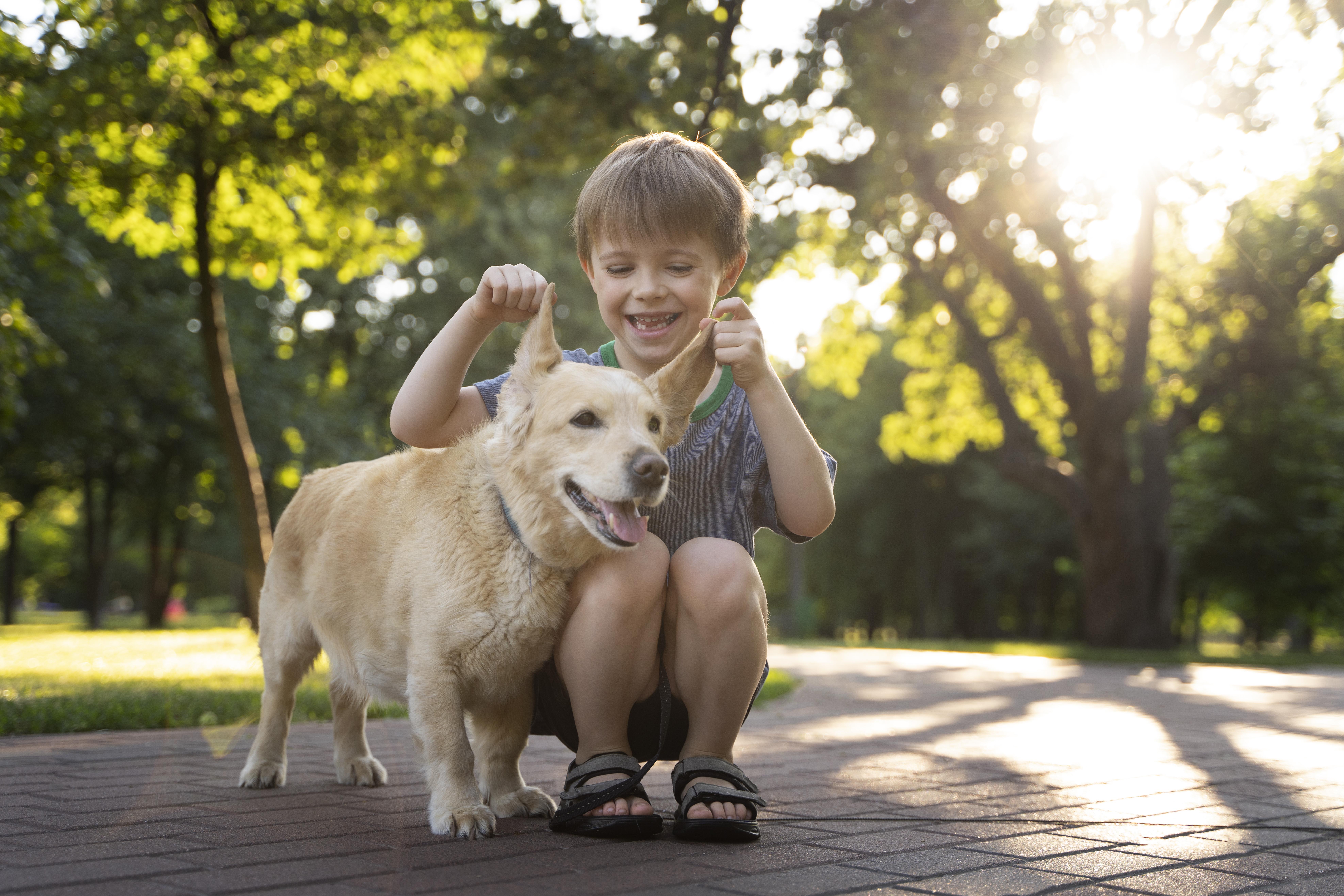 Siete cosas que no debe hacer con su perro