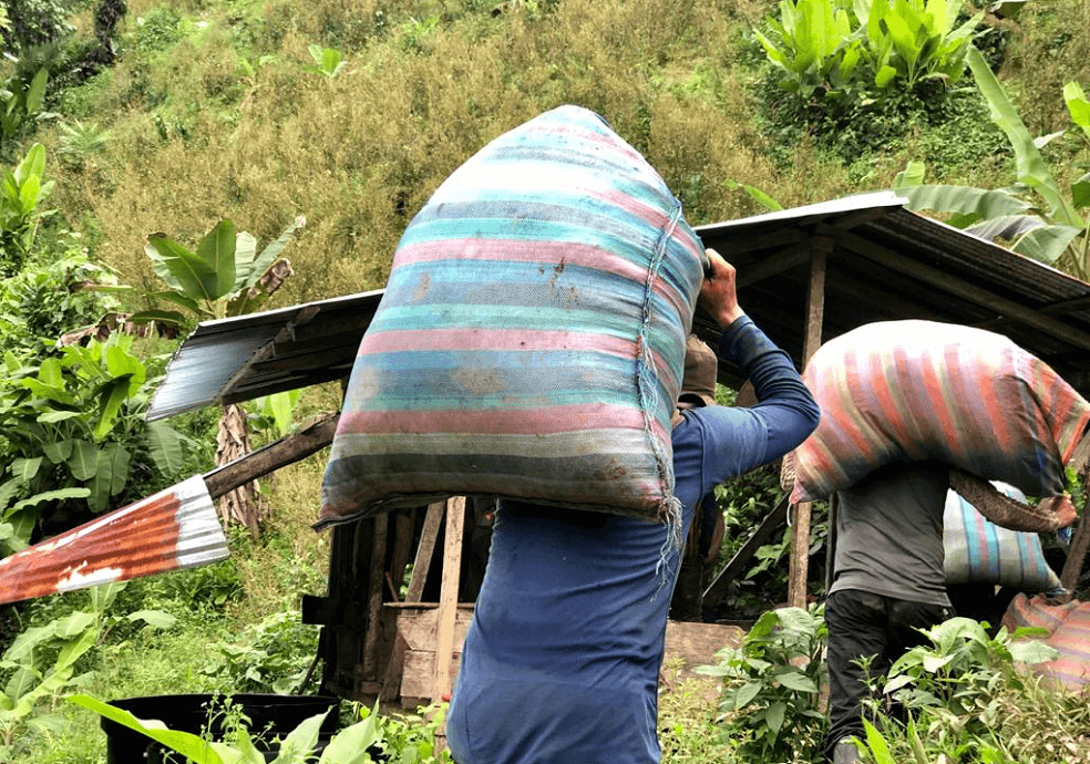 La realidad detrás de la coca, la vida campesina en la cordillera de Nariño