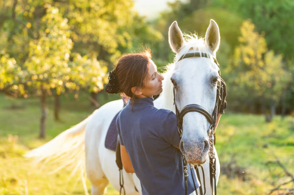 Colombia, tierra de caballos por excelencia
