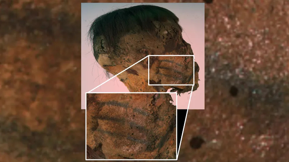 Descubren inusuales tatuajes en una momia sudamericana de 800 años de antigüedad