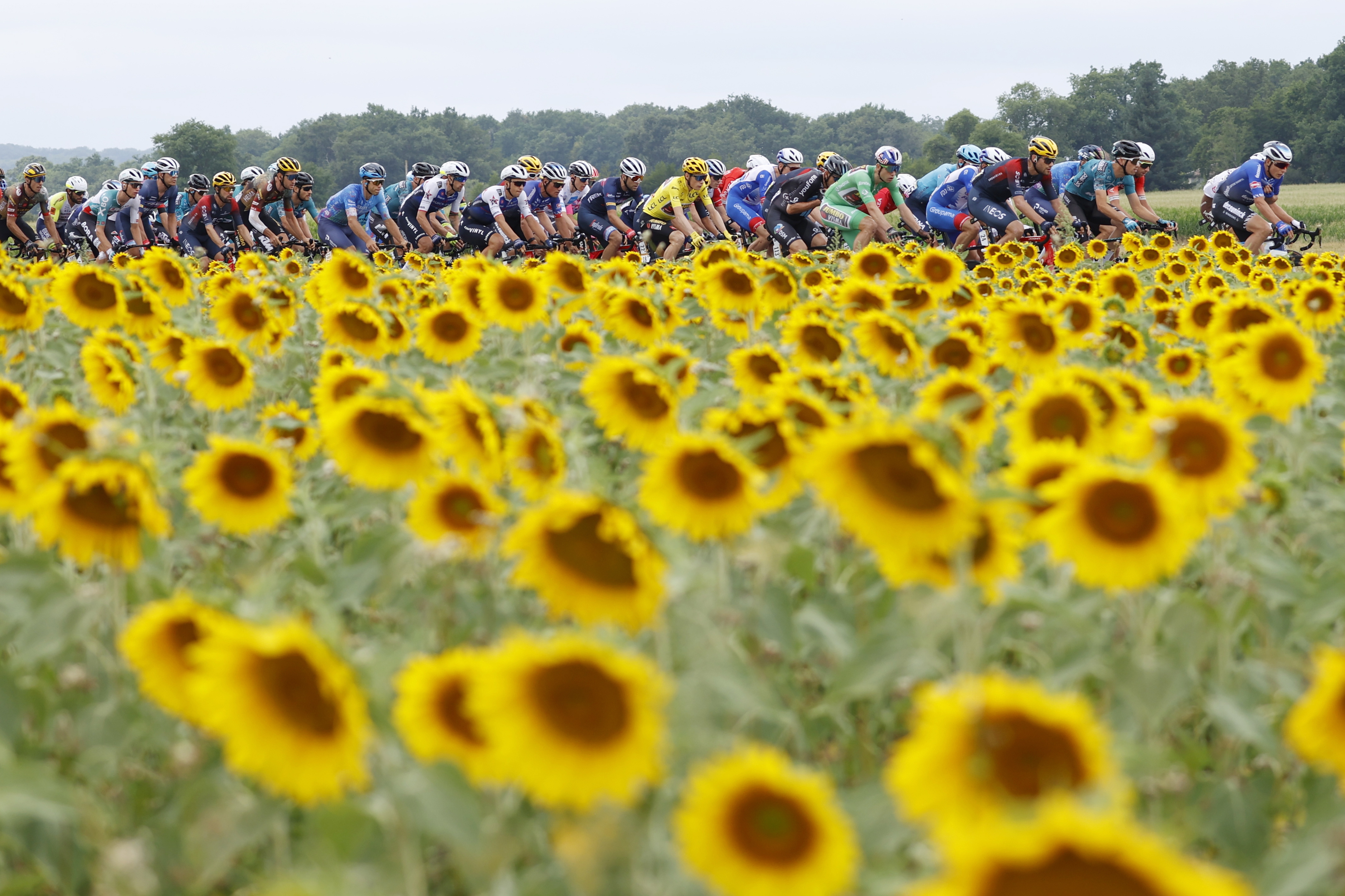 Christophe Laporte ganó la etapa 19 del Tour de Francia 2022