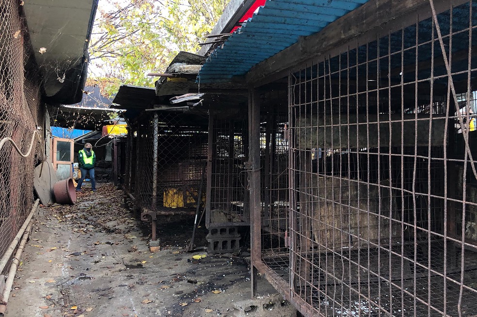 "Es un momento histórico", declaró la asociación de los defensores coreanos de los derechos de los animales, Kara, en su blog. "Esto abrirá el camino a nuevos cierres de mataderos de perros en todo el país, y acelerará el declive de la industria de la carne canina en su conjunto".