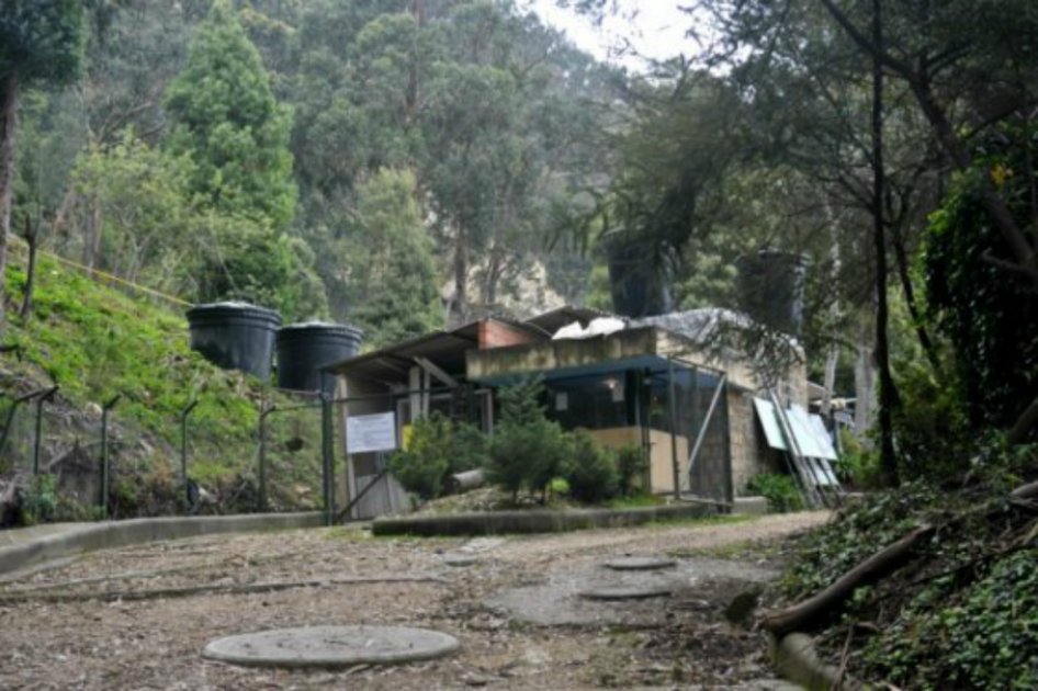 Sellarán la primera de 142 construcciones ilegales en cerros orientales de Bogotá