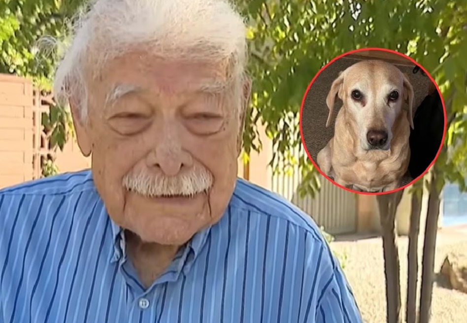 Hombre de 93 años se reencuentra con Sunny, su perro perdido: “conmovedor”