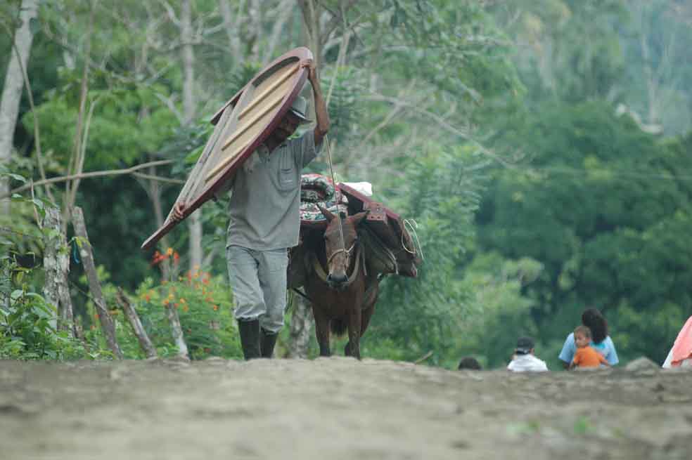 No fue solo Argos: a 17 empresas les reclaman tierras despojadas en Montes de María