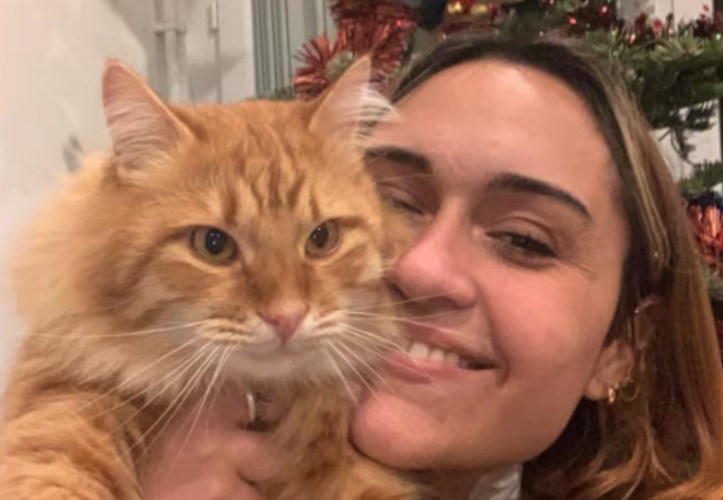 Milagro de Año Nuevo: soñó que su gato perdido volvía a casa y el sueño se cumplió