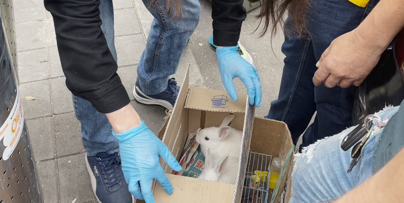 Uno de los puestos de ventana de animales vivos en la plaza El Restrepo, en el sur de Bogotá