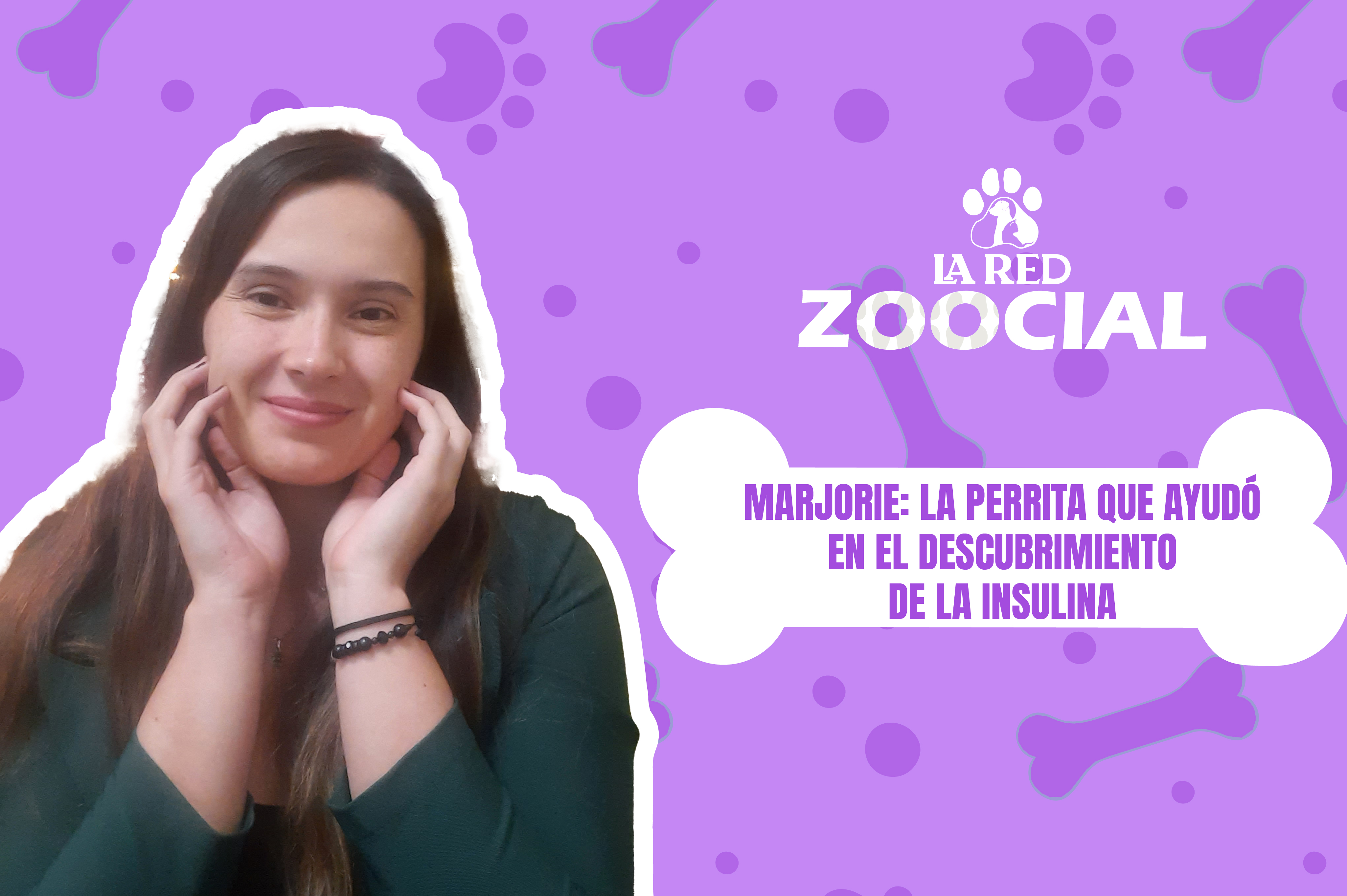 (VIDEO) Marjorie: la perrita que ayudó en el descubrimiento de la insulina