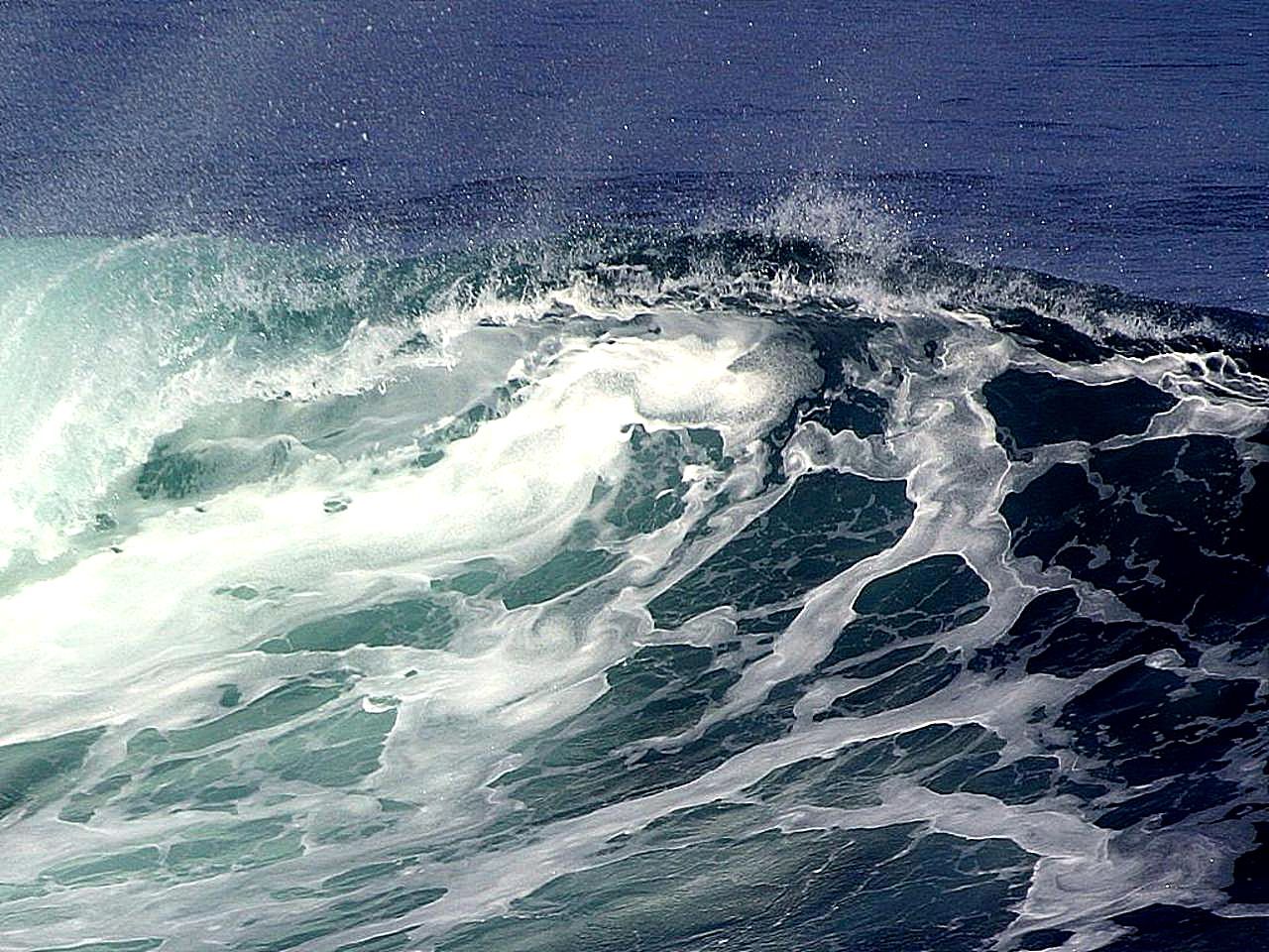 En 2023, el 22% de la superficie de los océanos sufrió una fuerte ola de calor
