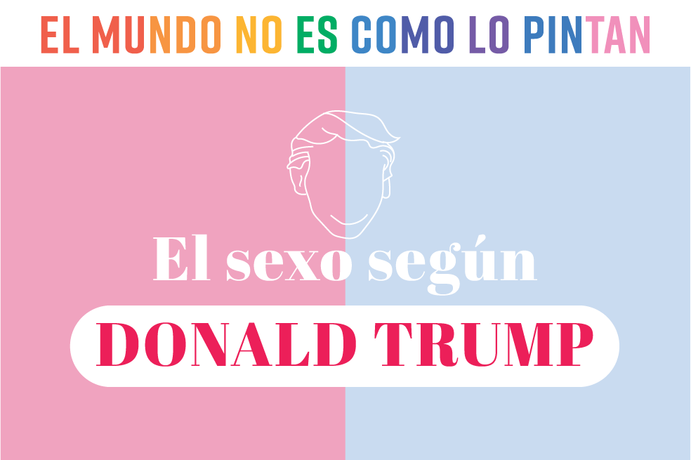 El mundo no es como lo pintan: Trump contra la diversidad