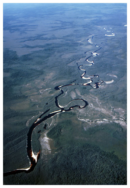 Amazonas. Hernán Díaz. Banco de la República.