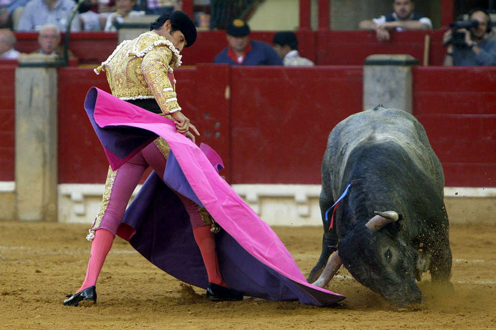 Pelea brava