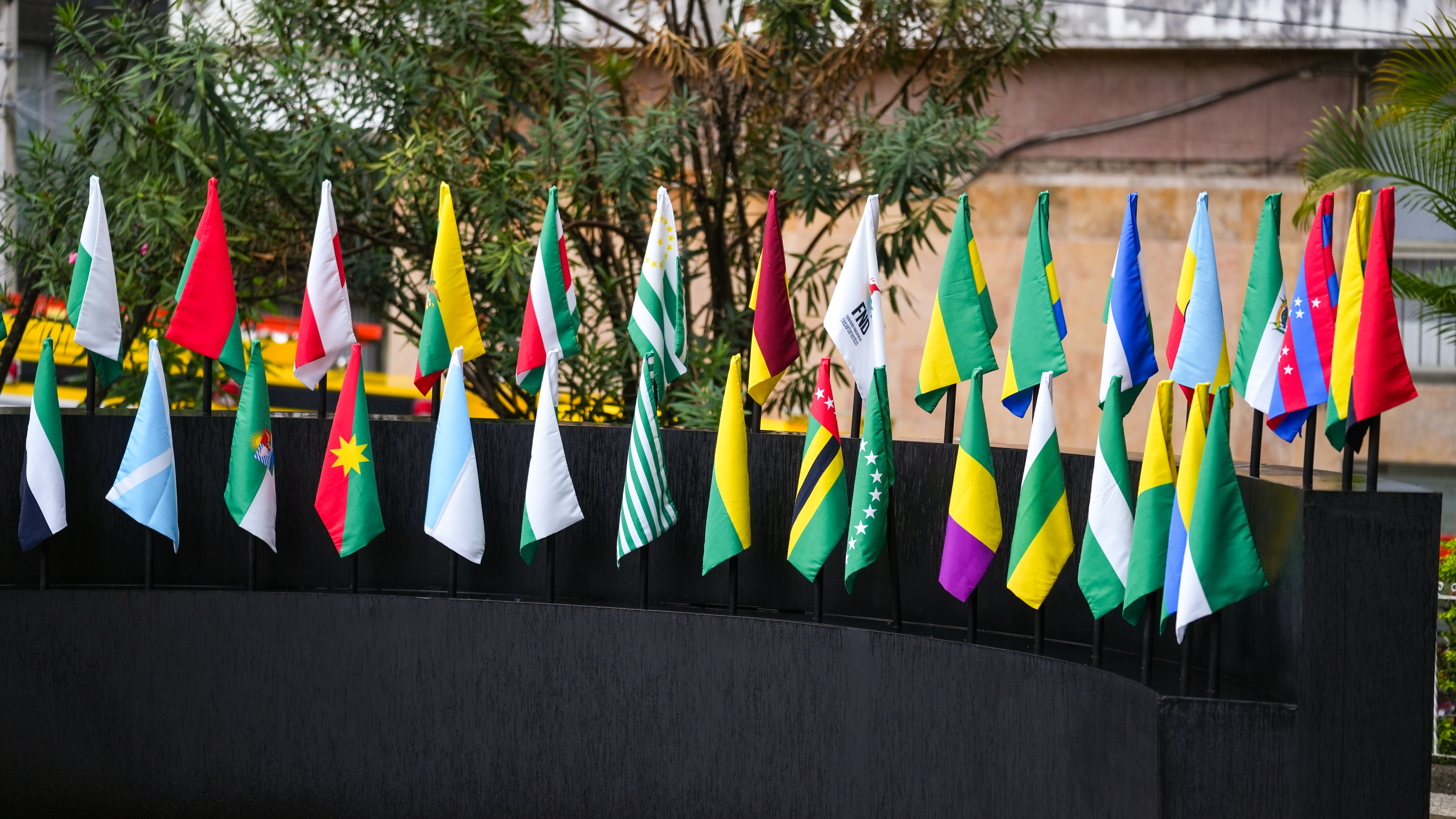 Banderas de los gobierno subnacionales que firmaron la declaratoria.