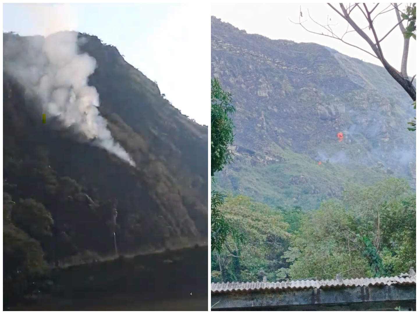 Piden apoyo para atender incendio forestal en Prado, Tolima