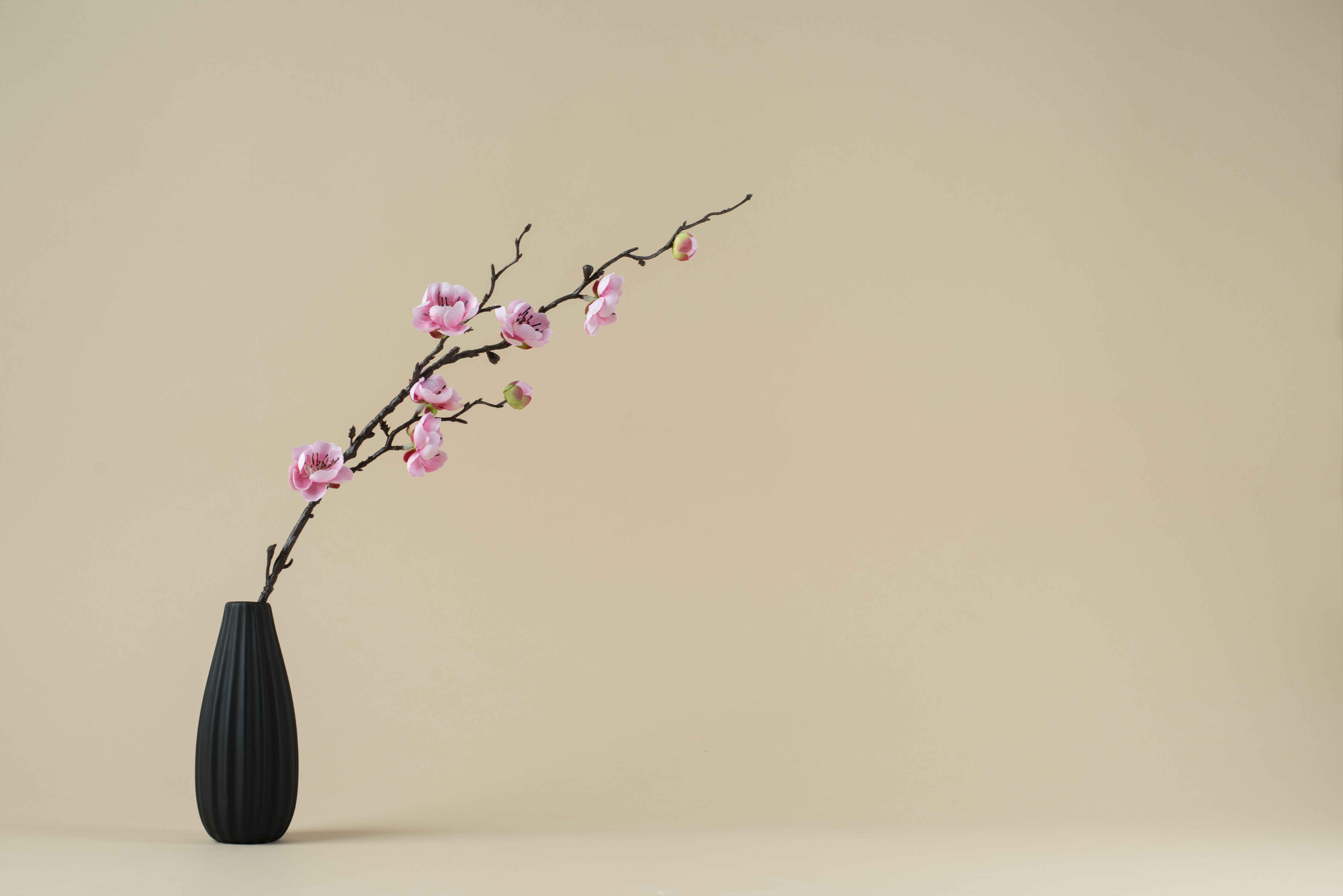 El ikebana es el arte japonés de arreglar flores, que busca armonía y equilibrio respetando la naturaleza y la estacionalidad de las plantas.
