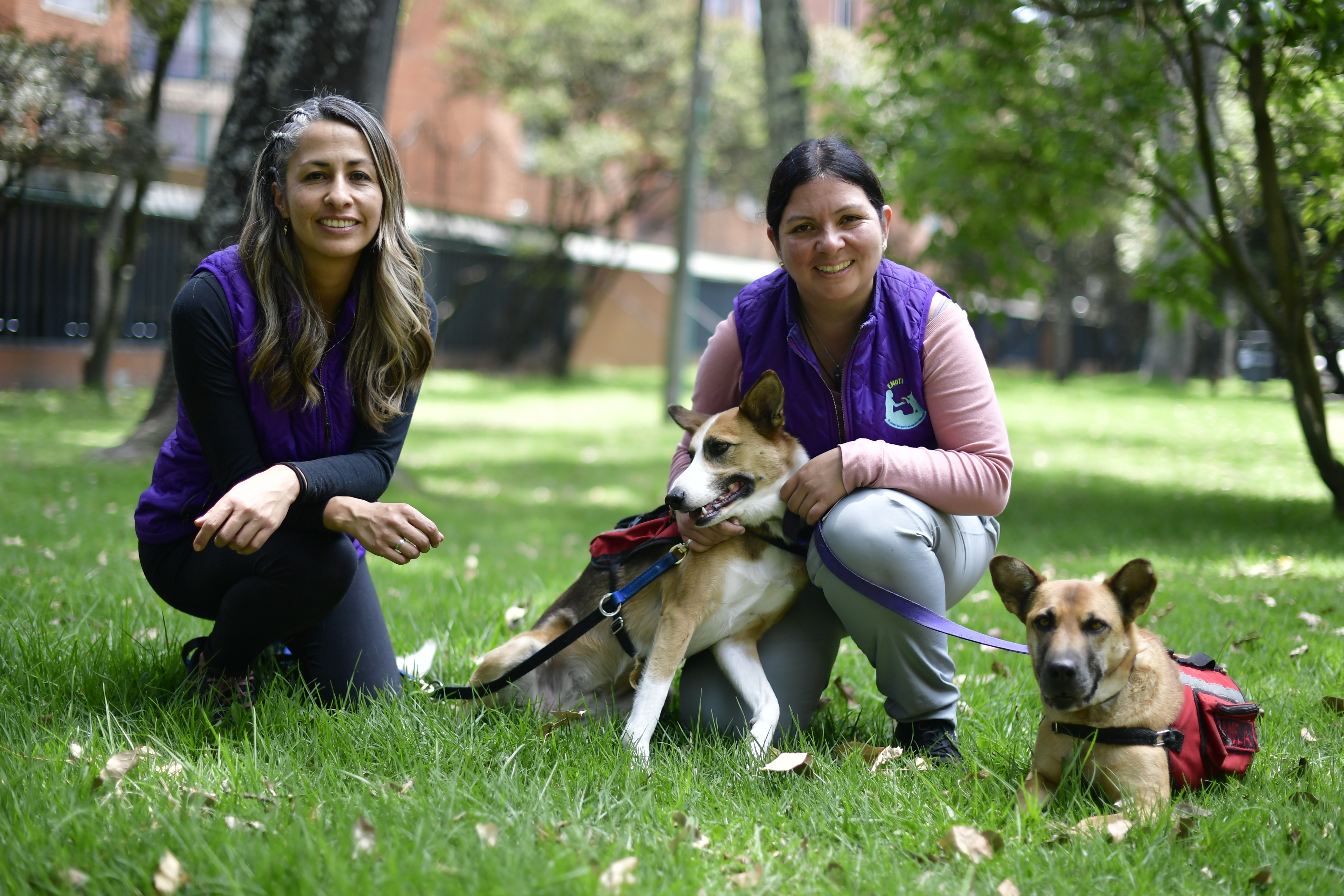 Emotican: la unión entre la psicología y el amor por los perros