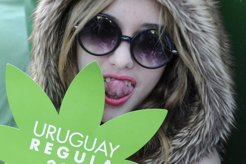 Marihuana multiorgásmica