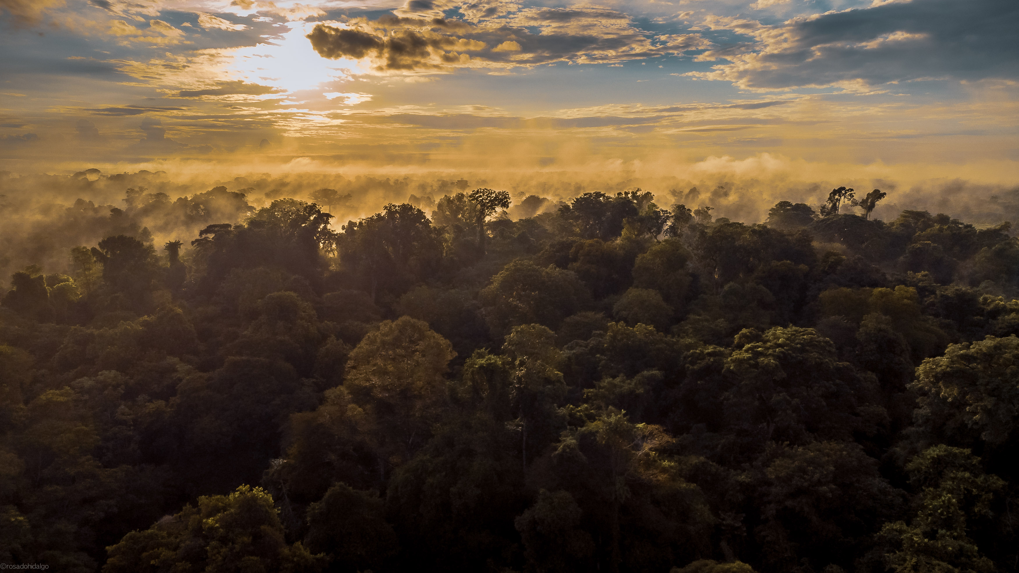 Destruimos el bosque del Magdalena Medio, pero aún queda este “oasis”