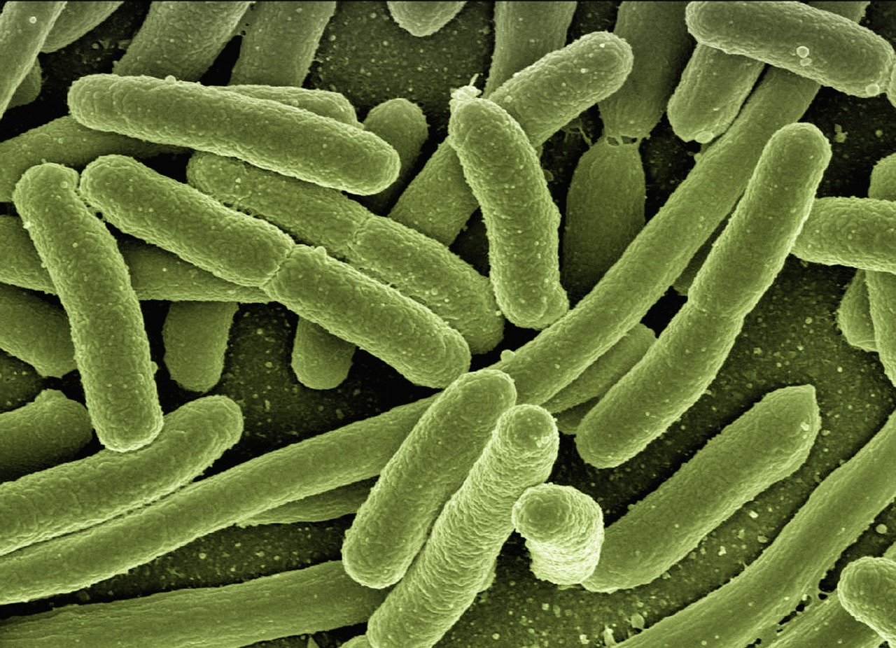 Las “superbacterias” le costarían $1,7 billones de dólares al mundo para 2050