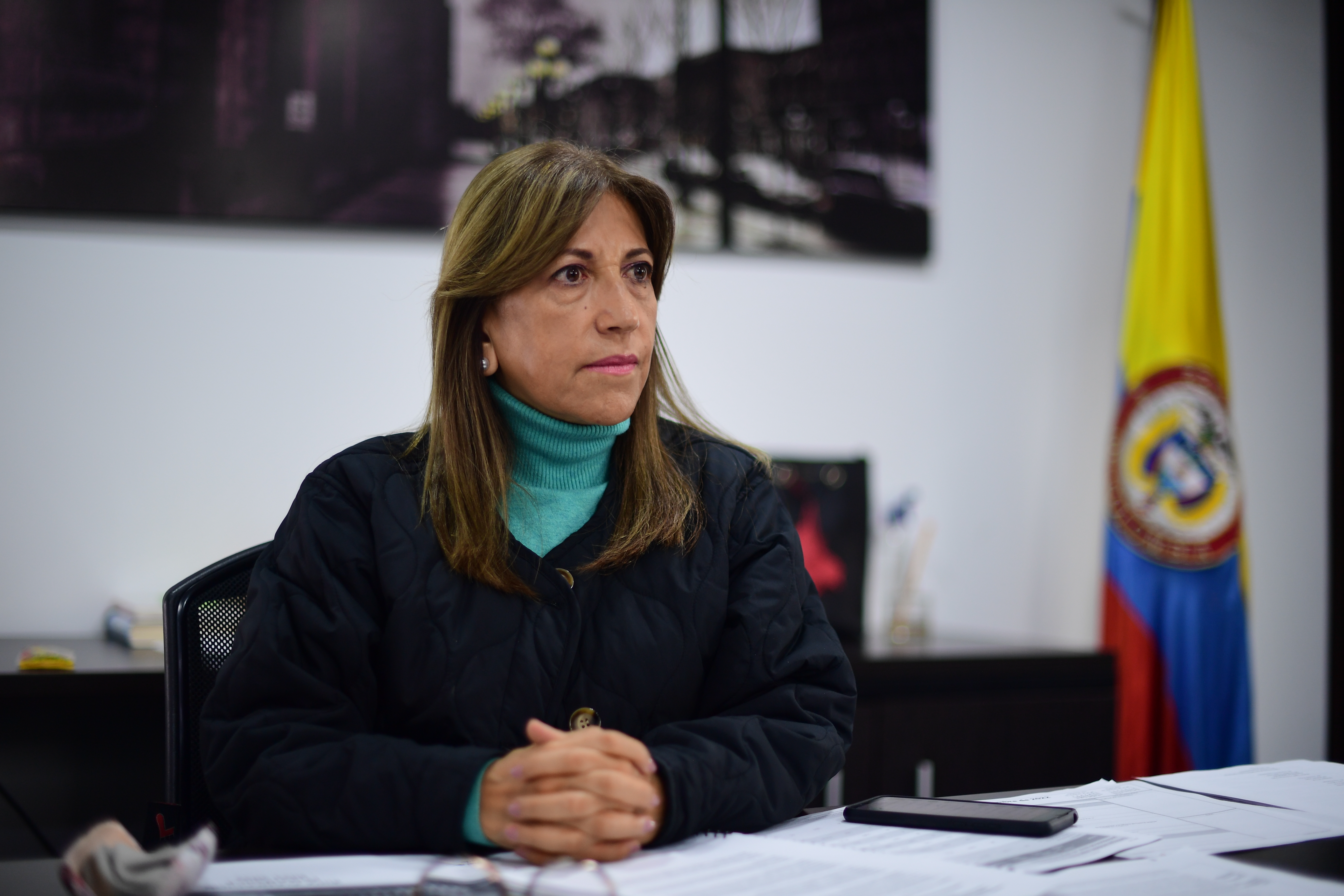 Directora Agencia Nacional de Defensa Jurídica Del Estado
