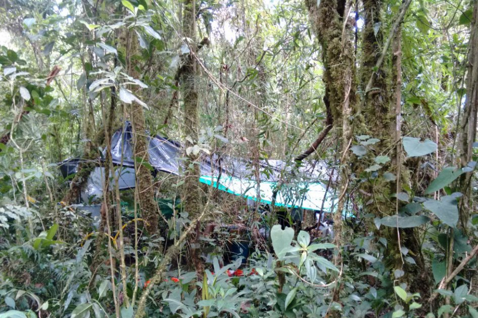 Destruyen complejo cocalero avaluado en $100 millones en Norte de Santander
