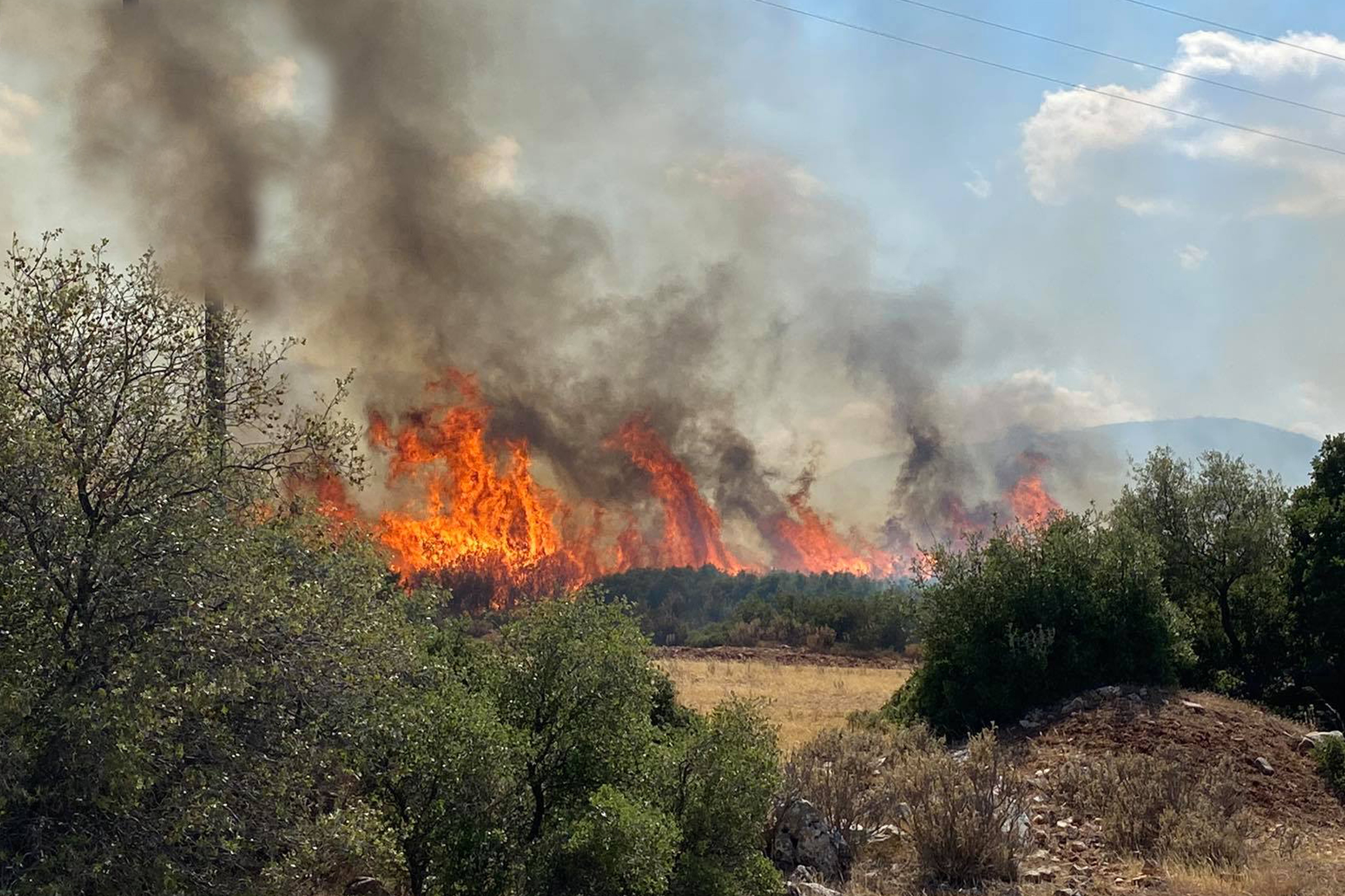 Nafplio (Greece), 21/06/2024.- Fire burns olive trees in a mountainous area of ??the Municipality of Argos, Mycenae, in the area of ??Lyrkeia and Douka, Peloponnese, Greece, 21 June, 2024. Strong forces of the Fire Department from Argos and Nafplio are operating at the scene, while aerial vehicles, the civil protection of the Municipality, water tankers and the police have been called to fight the fire. The Hellenic National Meteorological Service HNMS predicts temperatures of 37 degrees Celsius over the upcoming weekend 22-23 June while there is a growing danger of wildfires in the coastal region. (incendio forestal, Grecia) EFE/EPA/VAGELIS BOUGIOTIS BEST QUALITY AVAILABLE