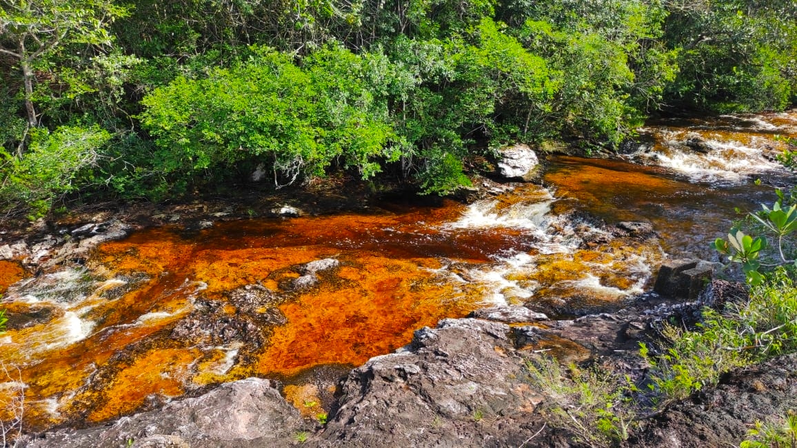 En Pozos Naturales aguas de varios colores fluyen a través de pozos y grutas subterráneas labradas sobre la roca.