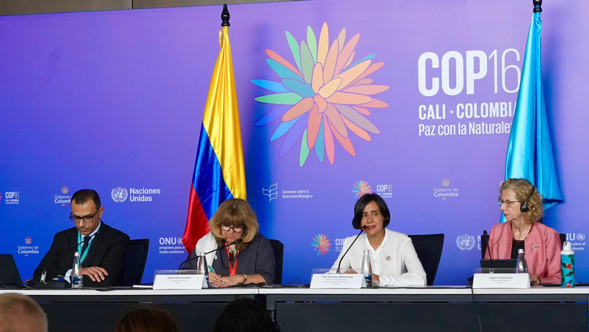 ¿Una cumbre ambiental en nuestro país?
