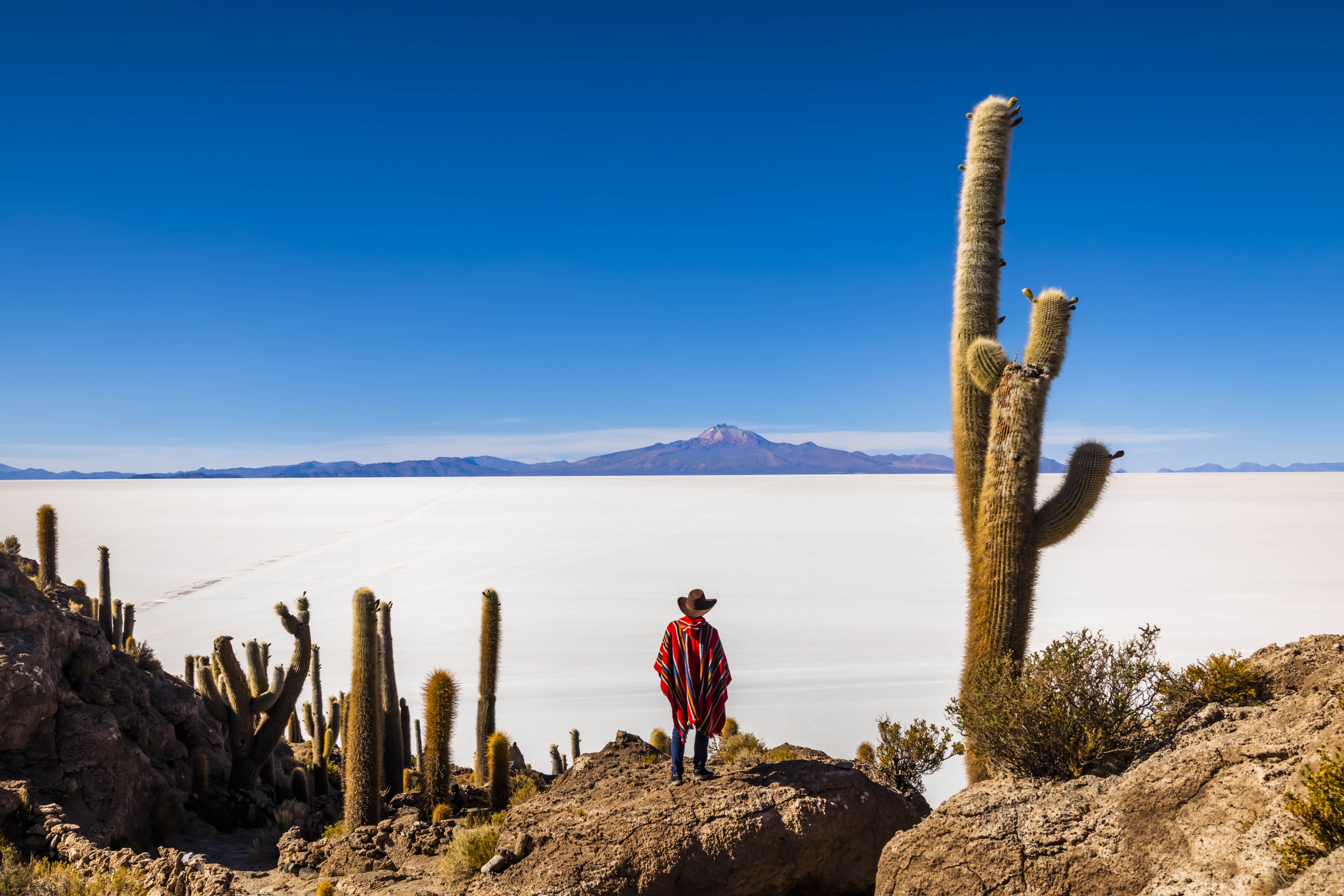 Destinos en Sudamérica ideales para conectarse con la naturaleza