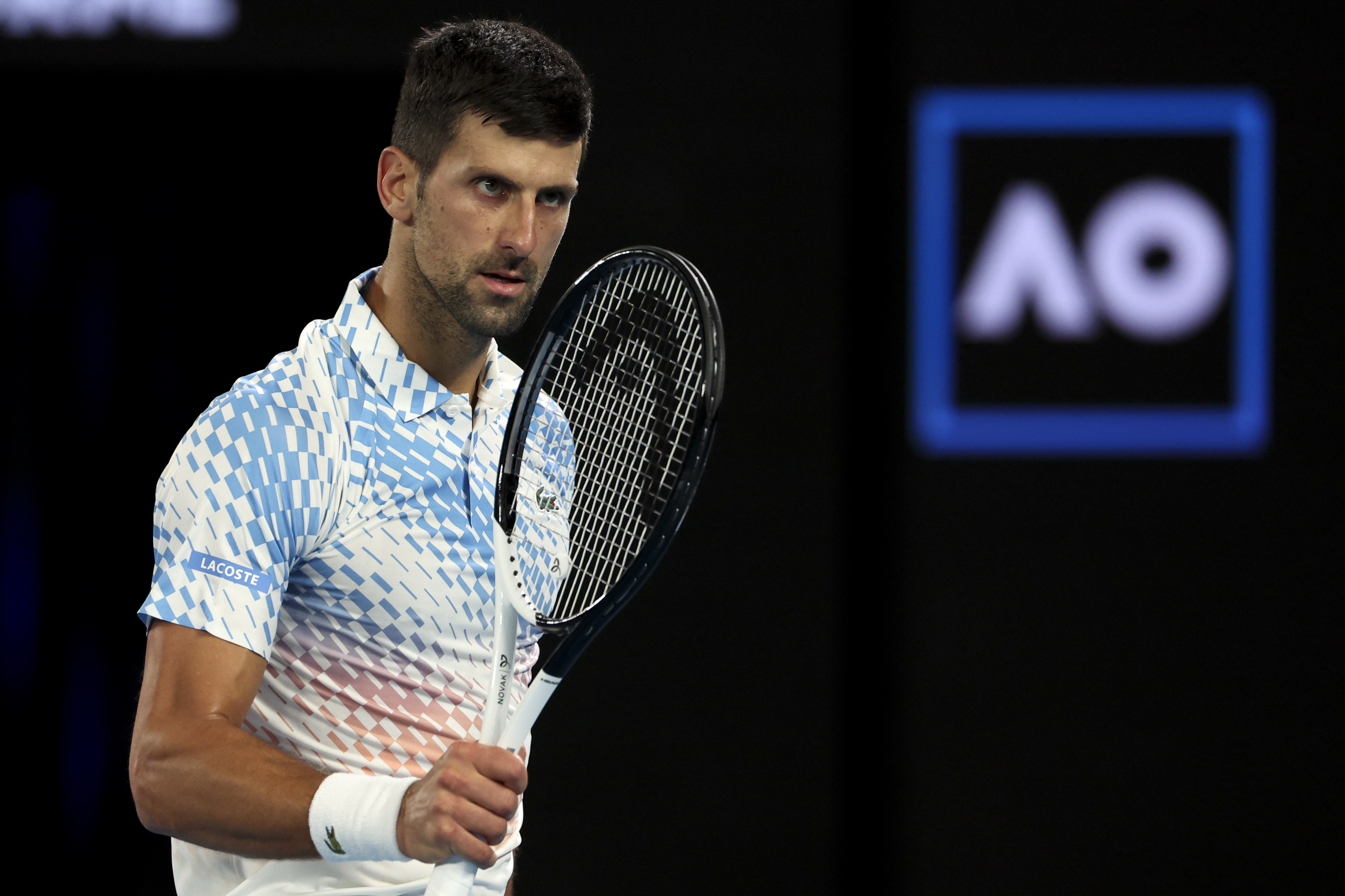Djokovic sigue arrasador: así quedaron las semifinales del Australian Open