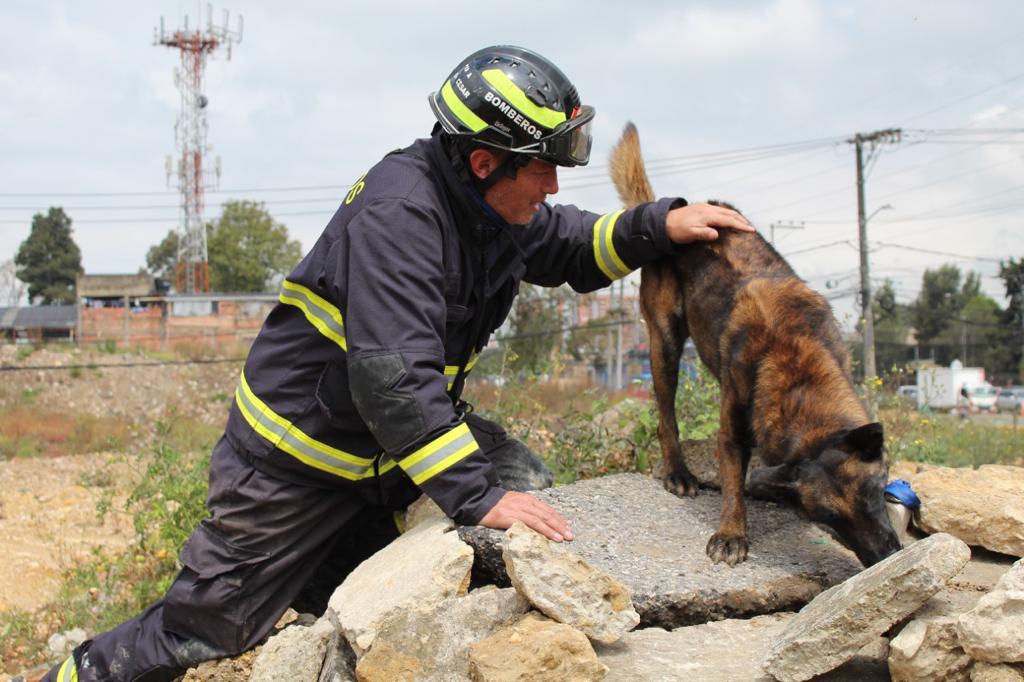 ¿Cómo entrenar a un perro de búsqueda y rescate en Colombia?