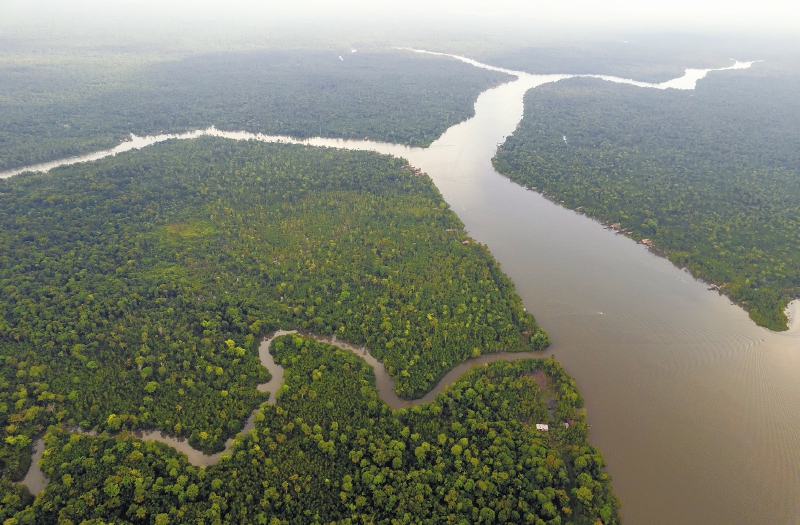 El programa regional de la Unión Europea que apoyará la preservación de la Amazonía