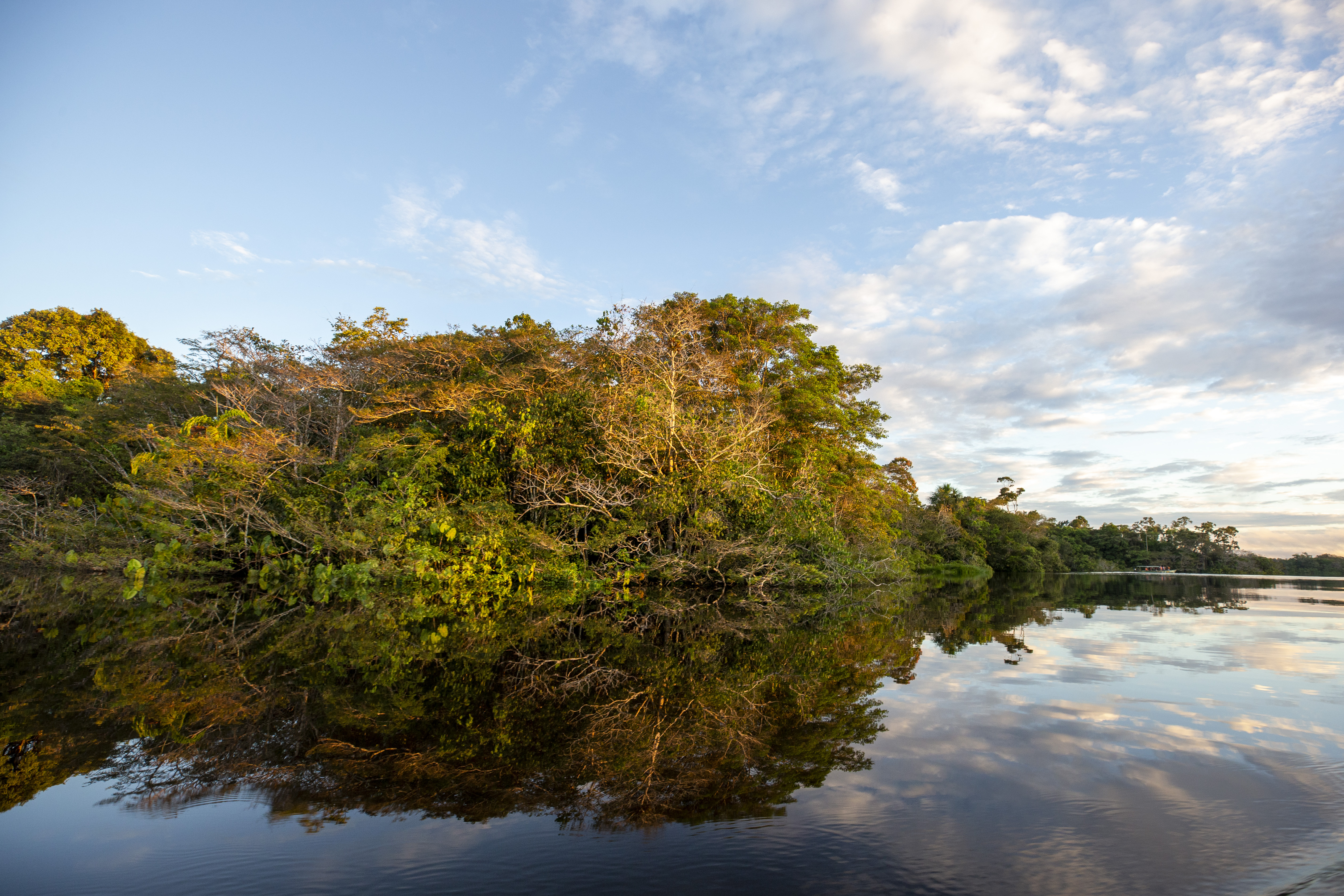 Ecuador dio el sí para detener extracción de petróleo en una zona del Amazonas