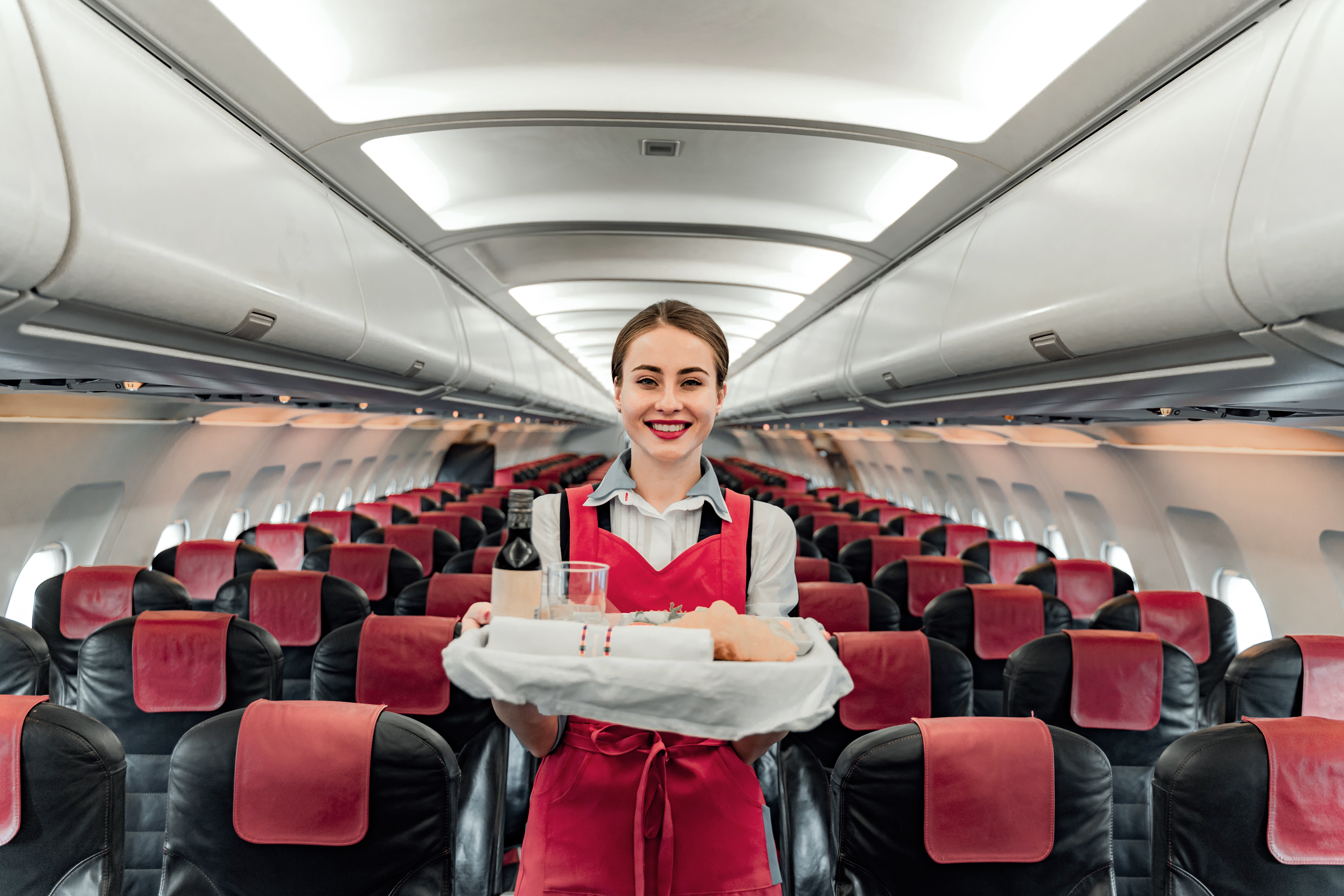 Comida de avión