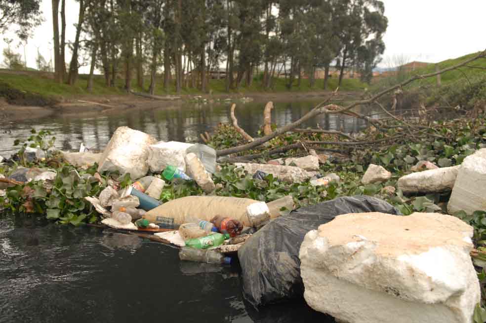 Rajados en desempeño ambiental