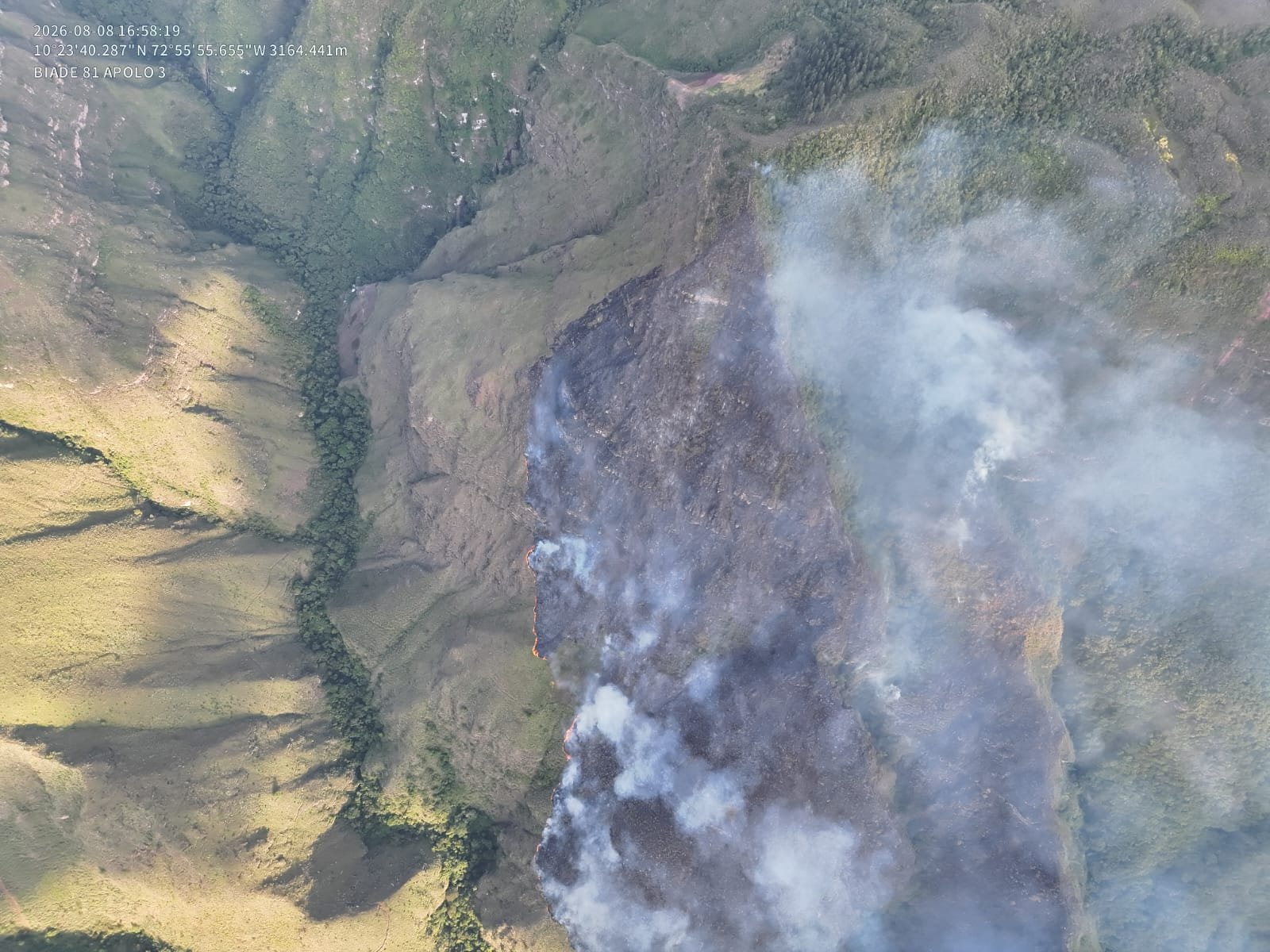 Bomberos intentan controlar incendio forestal en Serranía del Perijá
