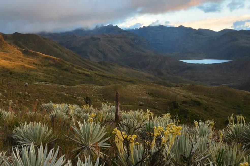 El Parque Nacional Natural Chingaza, es un tesoro natural y cultural del centro de Colombia.