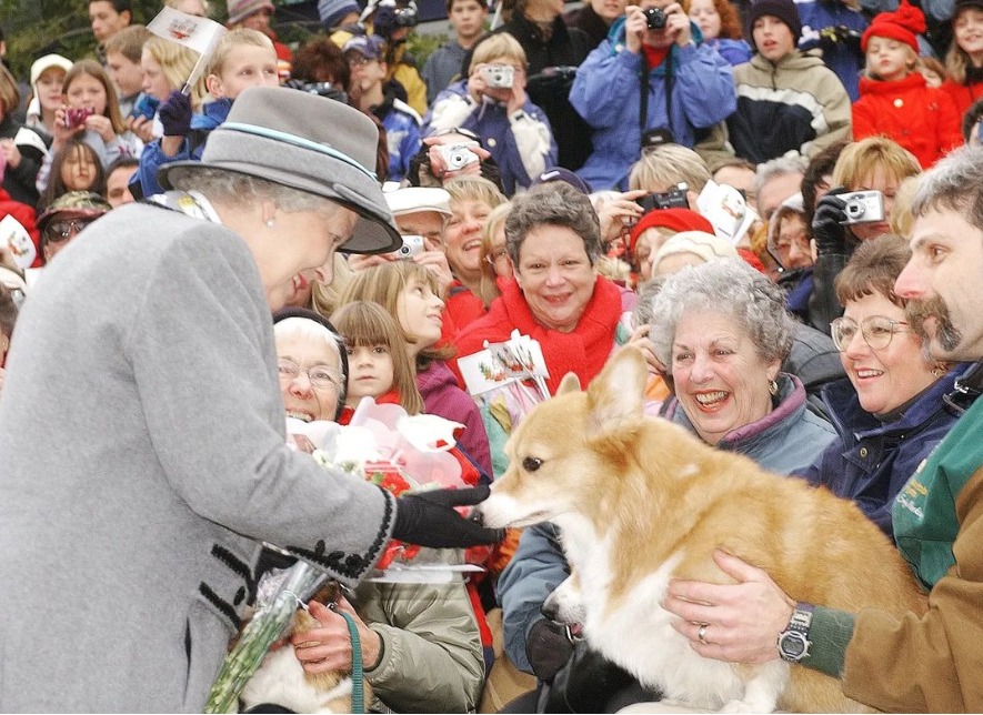 ¿Qué pasará con los perros corgi de la Reina Isabel II? Esta es su historia